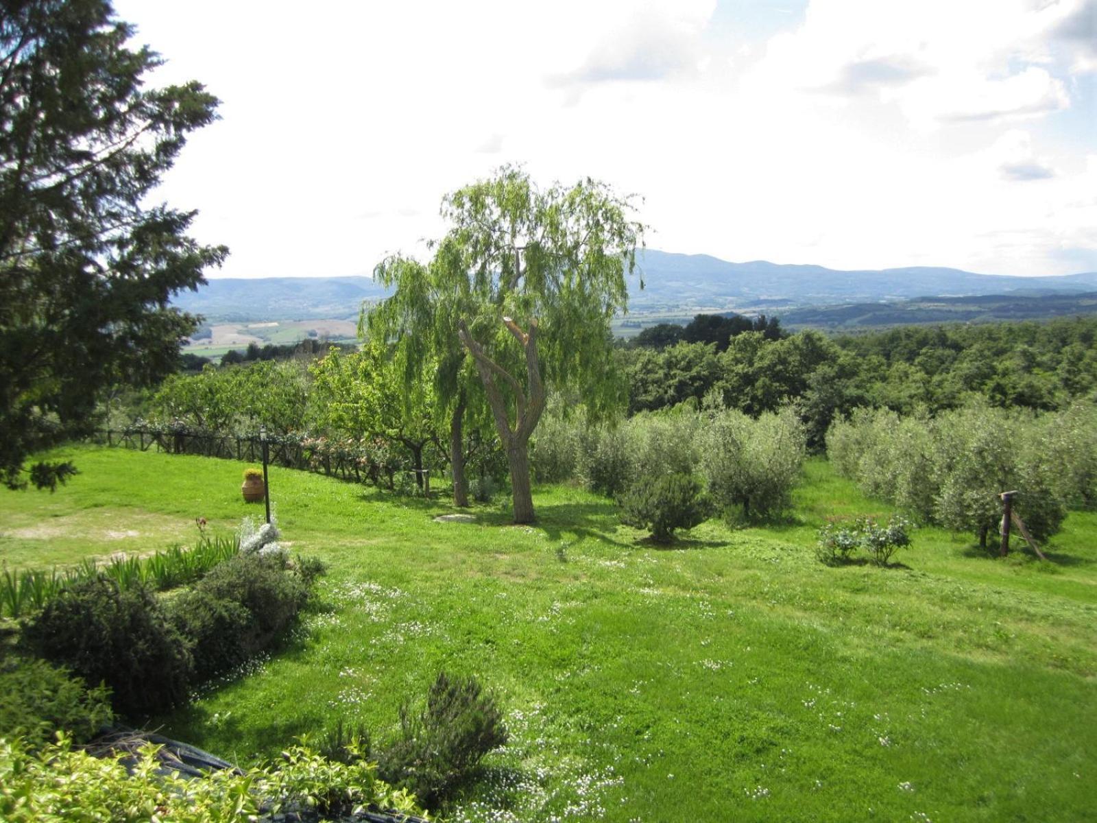 Agriturismo Cornieto Monteleone dʼOrvieto Exteriör bild