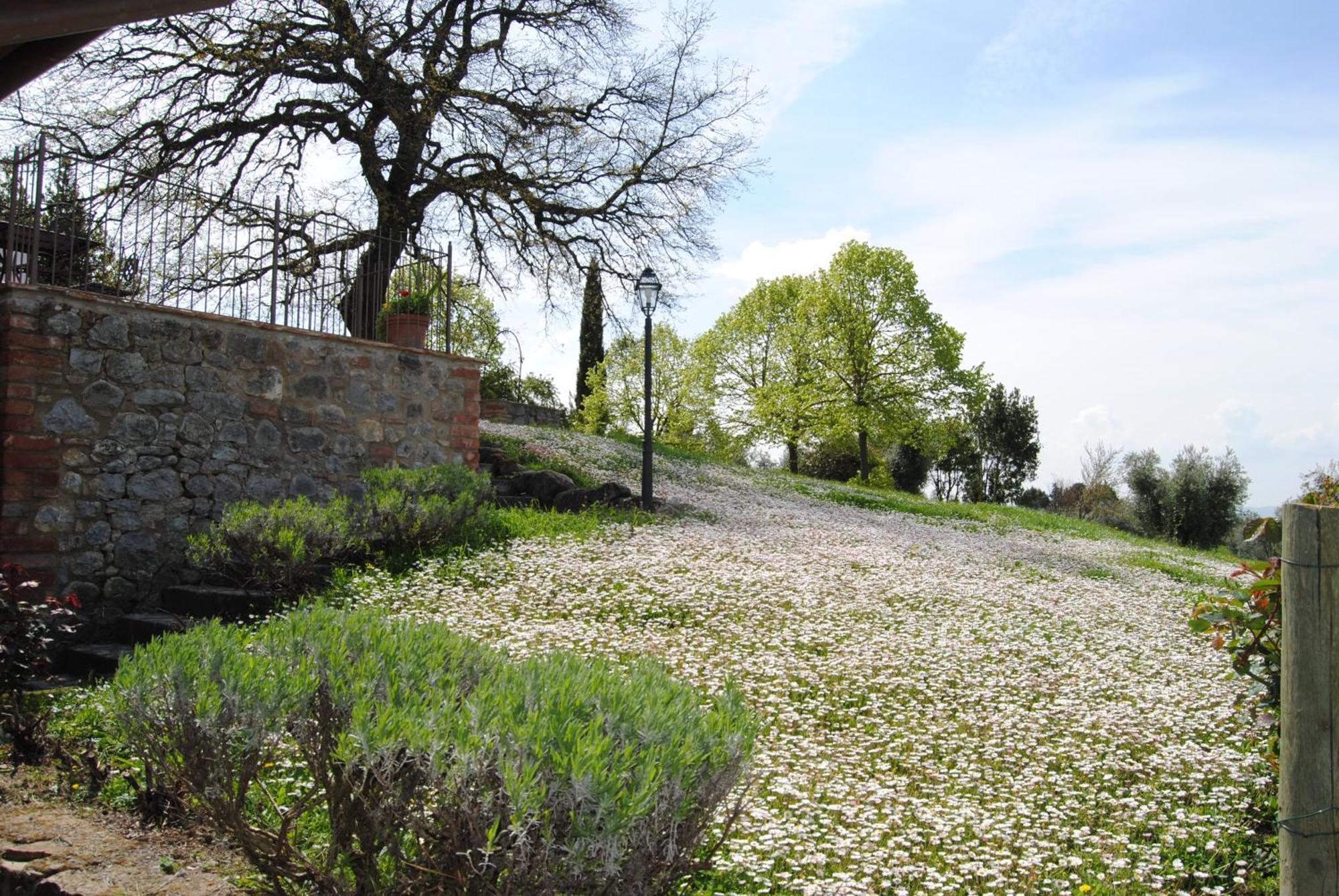 Agriturismo Cornieto Monteleone dʼOrvieto Exteriör bild