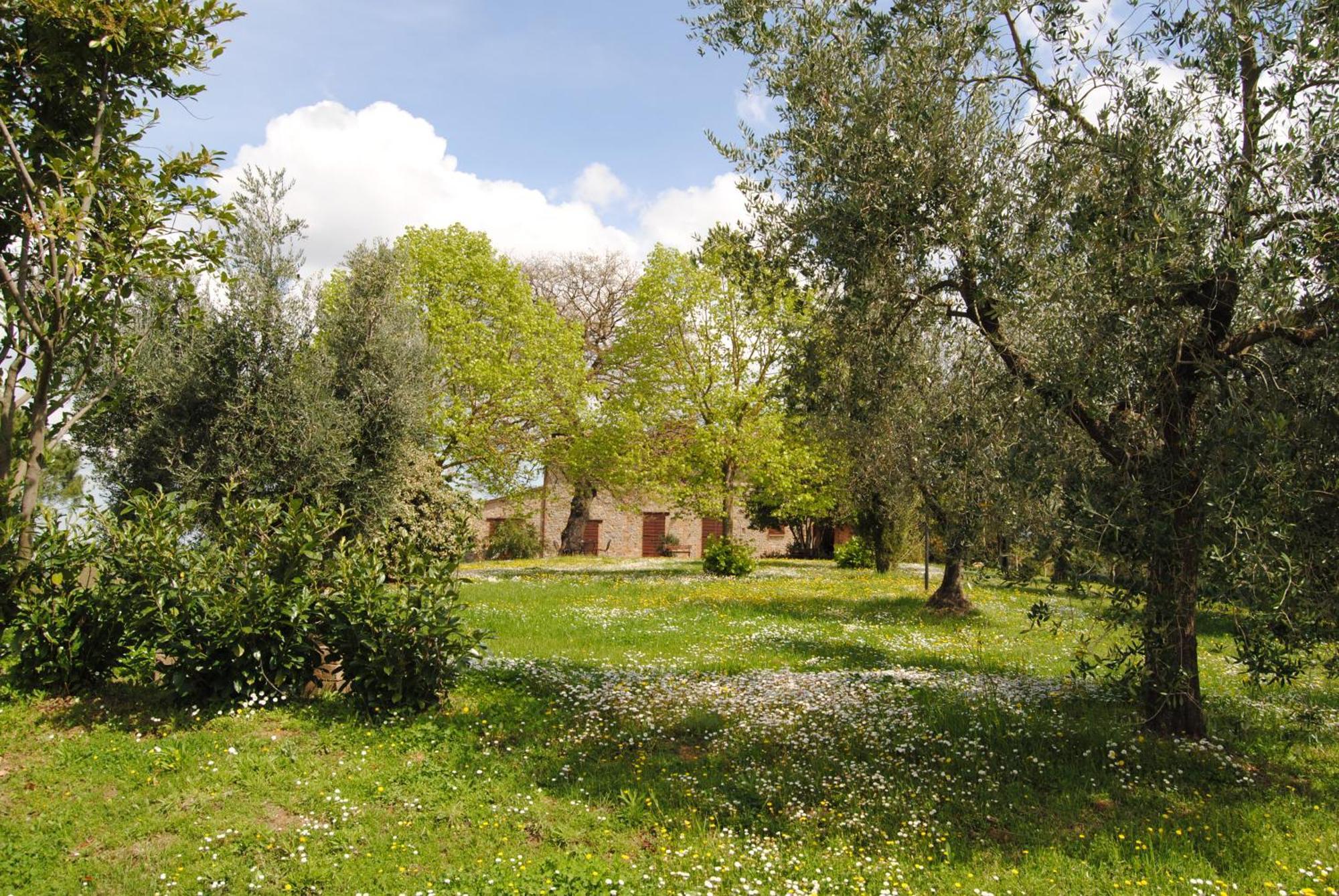 Agriturismo Cornieto Monteleone dʼOrvieto Exteriör bild